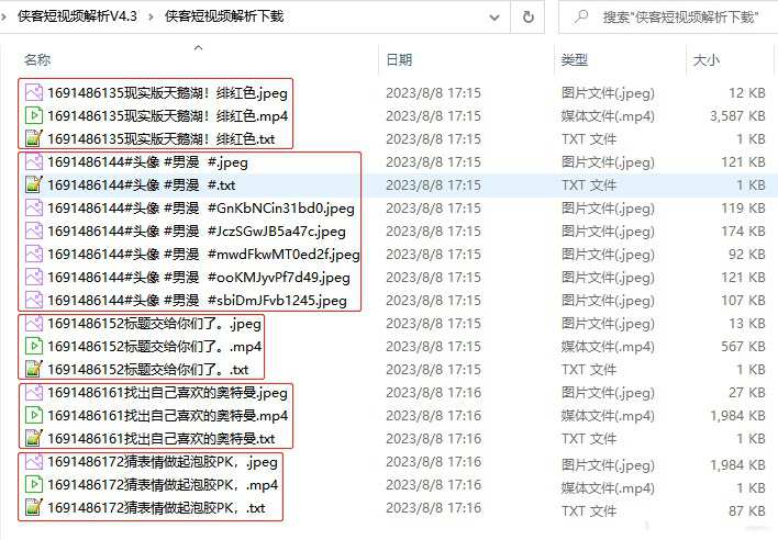 侠客短视频解析去水印工具（电脑版）-支持国内外众多短视频平台