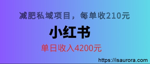 小红书减肥私域项目，每单210元，单日可卖出15单，利润3150