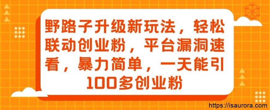 野路子升级新玩法，轻松联动创业粉，平台漏洞速看，暴力简单，一天能引100多创业粉